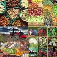Agro Products Manufacturer Supplier Wholesale Exporter Importer Buyer Trader Retailer in New Delhi  India